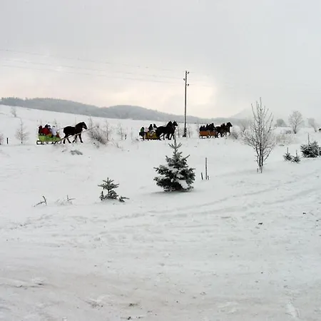 Willa Welczowka Farm stay
